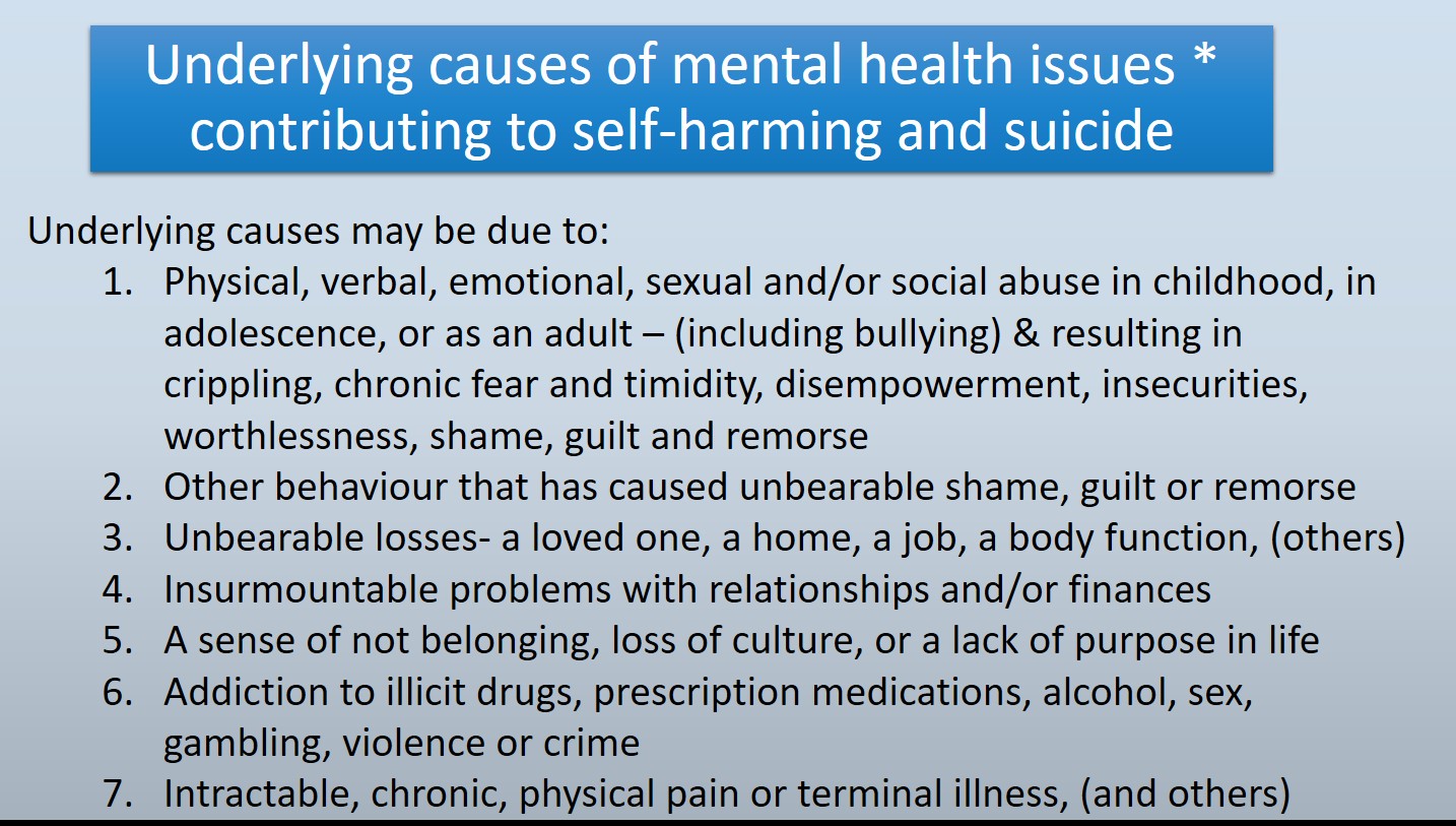 Underlying causes of mental health issues