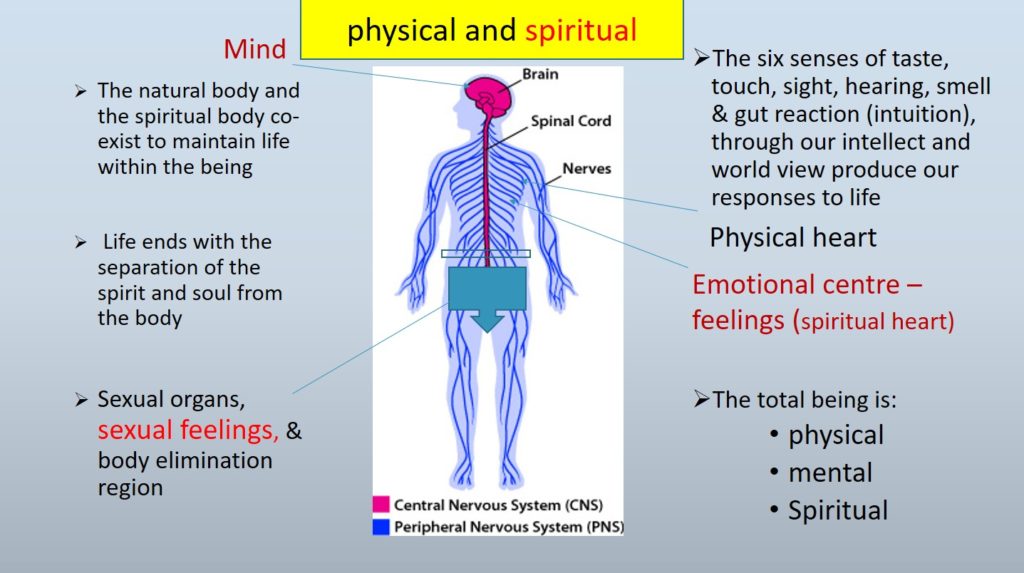 Mind Body and Spiritual input