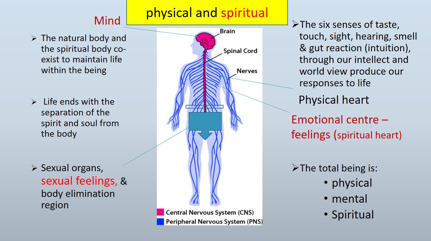 Mind Body and Spiritual input