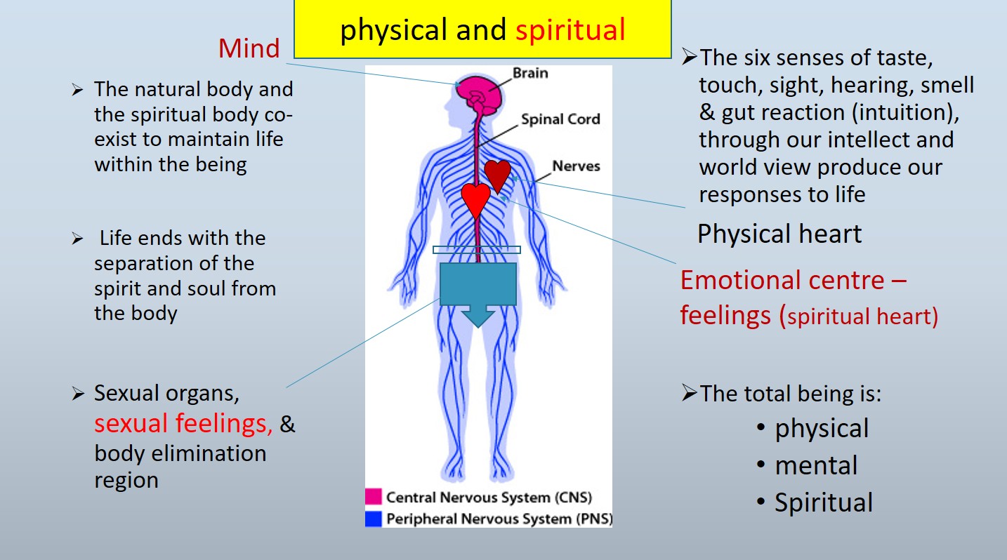 Mind Body and Spirituality