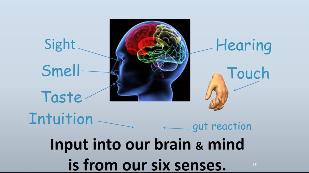 Six Sense Input into our brains
