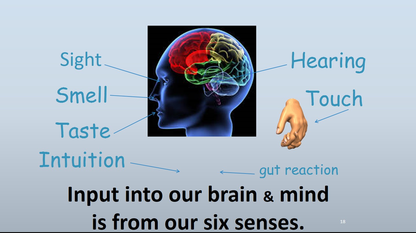 Six Sense Input into our brains
