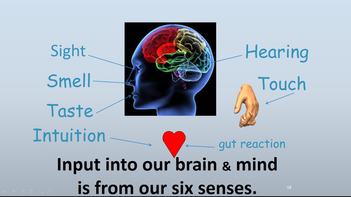 Six Sense Input into our brain
